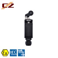 ATEX and IECEx Certified Explosion Proof IP66 Waterproof Magnetic Limit Switches